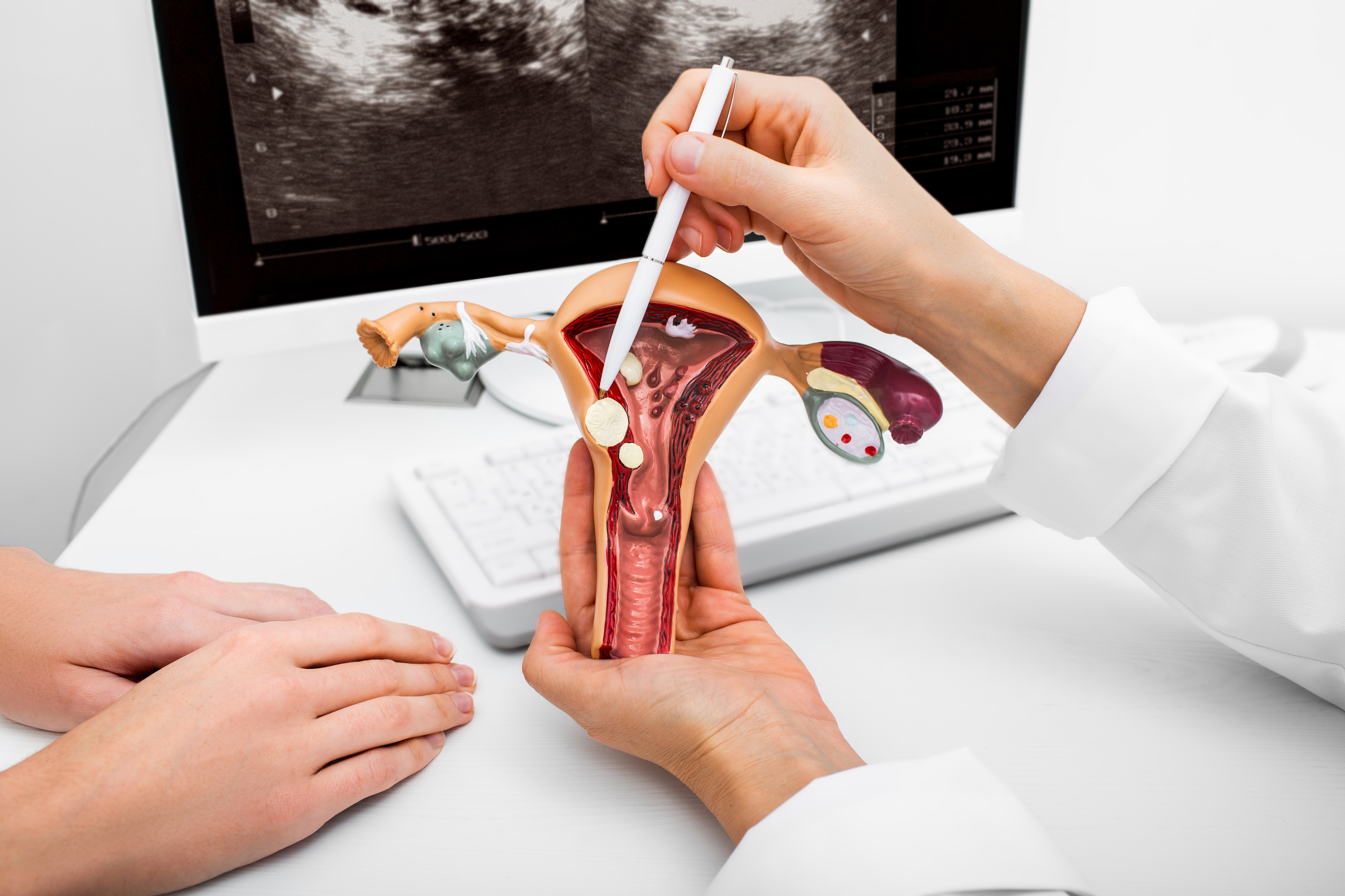 🌷 Urogynaecology: Understanding Female Pelvic Health